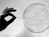 5 Questions About Global Economy Answered & Where’s The Next Bubble: Barclays