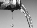 For GCC water more precious than oil