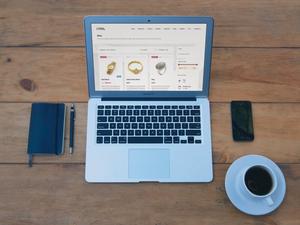 Lynx - WordPress Theme - productshot 2