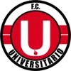 Logo Universitario De Vinto