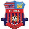 Logo Dila Gori