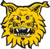 Logo Ilves Tampere