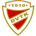 Logo Diosgyori VTK Women