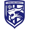 Logo Wuhan Three Towns U20